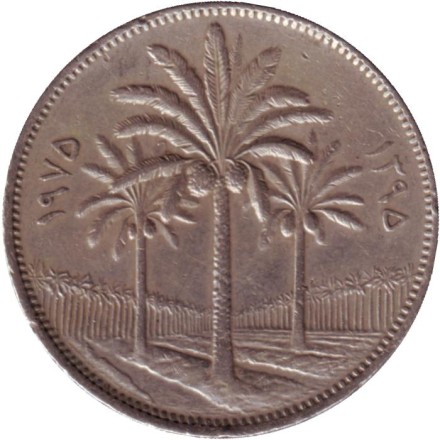 Монета 100 филсов. 1975 год. Ирак.