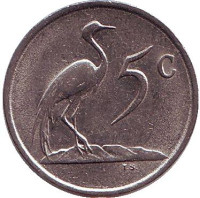 Африканская красавка. Монета 5 центов. 1986 год, Южная Африка.