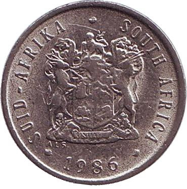 Монета 5 центов. 1986 год, Южная Африка. Африканская красавка.