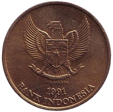 Монета 50 рупий. 1991 год, Индонезия. Варан. Комодо. Монета 50 рупий. 1991 год, Индонезия. Варан. Комодо.