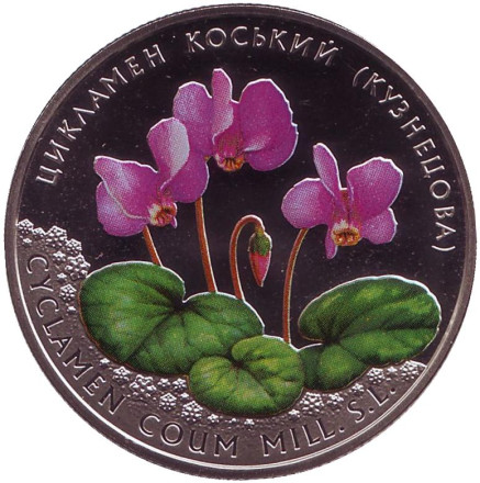 Монета 2 гривны. 2014 год, Украина. Цикламен косский (Кузнецова).