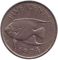 Монета 5 центов. 1974 год, Бермудские острова. Тропическая рыба (Ангел-королева). Монета 5 центов. 1974 год, Бермудские острова. Тропическая рыба (Ангел-королева).