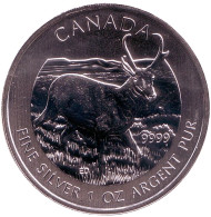 Монета 5 долларов. 2013 год, Канада. Вилорог. Монета 5 долларов. 2013 год, Канада. Вилорог.