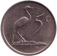 Африканская красавка. Монета 5 центов. 1987 год, Южная Африка.