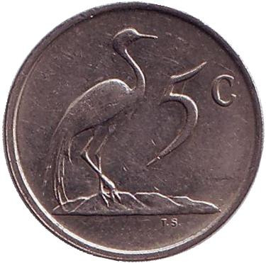 Монета 5 центов. 1987 год, Южная Африка. Африканская красавка.