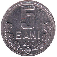 Монета 5 бани. 2017 год, Молдавия. 