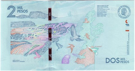 Банкнота 2000 песо. 2016 год, Колумбия. Дебора Аранго. Банкнота 2000 песо. 2016 год, Колумбия. Дебора Аранго.