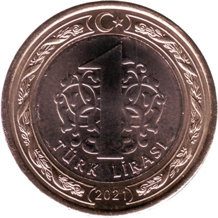 Монета 1 лира. 2021 год, Турция. 100 лет Газиантепу. Монета 1 лира. 2021 год, Турция. 100 лет Газиантепу.