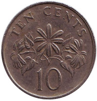 Монета 10 центов. 1988 год, Сингапур. Жасмин. Монета 10 центов. 1988 год, Сингапур. Жасмин.