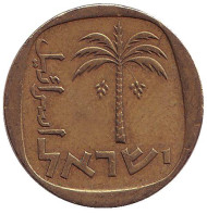 Монета 10 агор. 1962 год, Израиль. Пальма. Монета 10 агор. 1962 год, Израиль. Пальма.