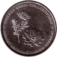 Монета 1 рубль. 2021 год, Приднестровье. Адонис весенний. Красная книга Приднестровья.