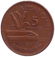Монета 5 долларов, 2009 год, Гайана. Сахарный тростник. Монета 5 долларов, 2009 год, Гайана. Сахарный тростник.
