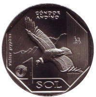 Андский кондор. Фауна Перу. Монета 1 соль. 2017 год, Перу.