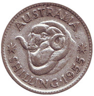 Монета 1 шиллинг. 1955 год, Австралия. Баран.