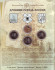 Набор монет серии "Древние города России". Выпуск I, 2002 год, Россия. Набор монет серии "Древние города России". Выпуск I, 2002 год, Россия.