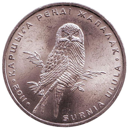 Монета 50 тенге, 2011 год, Казахстан. (зеркальный аверс) Ястребиная сова.