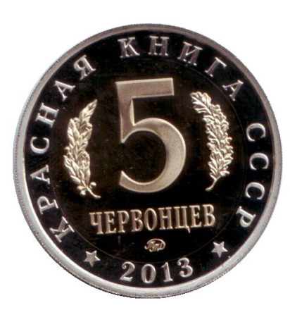 5chervoncev_2013-1.jpg
