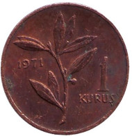 Монета 1 куруш. 1971 год, Турция. Монета 1 куруш. 1971 год, Турция.