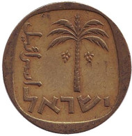 Монета 10 агор. 1961 год, Израиль. Пальма. Монета 10 агор. 1961 год, Израиль. Пальма.