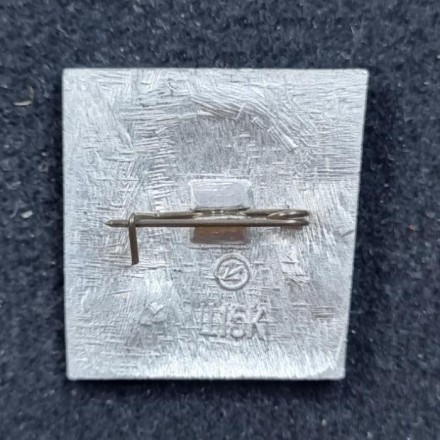 В.И. Ленин на фоне красного знамени . Значок. СССР. В.И. Ленин на фоне красного знамени . Значок. СССР.