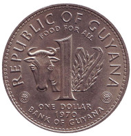 Монета 1 доллар. 1970 год, Гайана. FAO. Бык. Монета 1 доллар. 1970 год, Гайана. FAO. Бык.