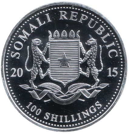 slon-12.jpg slon-12.jpg