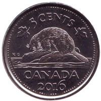 Бобр. Монета 5 центов, 2016 год, Канада.
