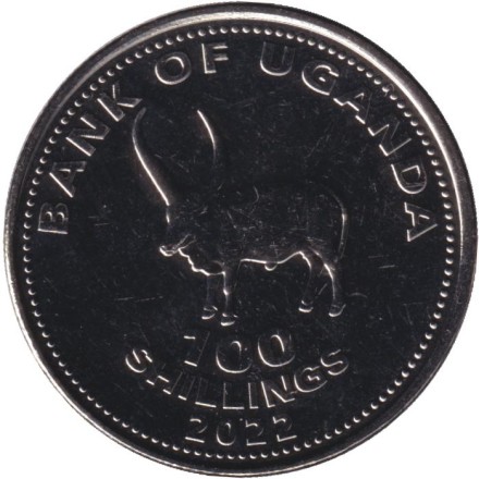 Монета 100 шиллингов. 2022 год, Уганда. Африканский бык. Монета 100 шиллингов. 2022 год, Уганда. Африканский бык.