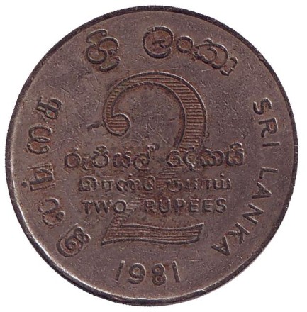 2-81-12.jpg 2-81-12.jpg