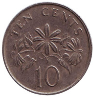 Монета 10 центов. 1989 год, Сингапур. Жасмин. Монета 10 центов. 1989 год, Сингапур. Жасмин.