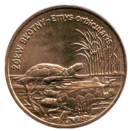Монета 2 злотых, 2002 год, Польша. Европейская болотная черепаха.