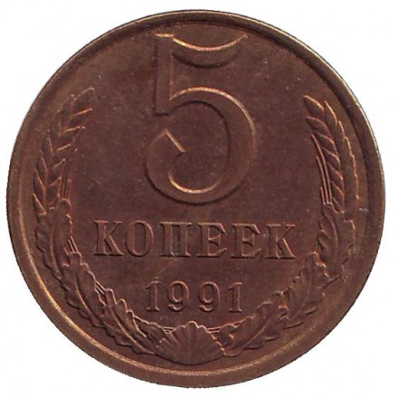 1991xy.jpg 1991xy.jpg