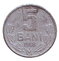 Монета 5 бани. 1996 год, Молдавия. Монета 5 бани. 1996 год, Молдавия.