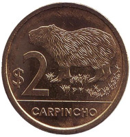 Монета 2 песо. 2011 год, Уругвай. UNC Водосвинка (капибара). Монета 2 песо. 2011 год, Уругвай. UNC Водосвинка (капибара).