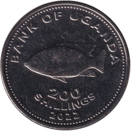 Монета 200 шиллингов. 2022 год, Уганда. Рыба семейства "Цихлиды". Монета 200 шиллингов. 2022 год, Уганда. Рыба семейства "Цихлиды".