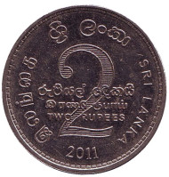 Монета 2 рупии. 2011 год, Шри-Ланка. Монета 2 рупии. 2011 год, Шри-Ланка.