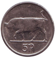 Монета 5 пенсов. 1994 год, Ирландия. Бык. Ирландская арфа. Монета 5 пенсов. 1994 год, Ирландия. Бык. Ирландская арфа.