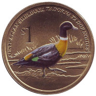 Монета 1 доллар. 2013 год, Тувалу. Австралийский огарь. Серия "Австралийские водяные птицы". Монета 1 доллар. 2013 год, Тувалу. Австралийский огарь. Серия "Австралийские водяные птицы".