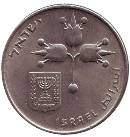 1979-12x6.jpg 1979-12x6.jpg