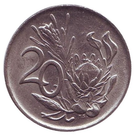 Монета 20 центов. 1982 год, ЮАР. Цветок протея. Окончание президентства Бальтазара Йоханнеса Форстера. Монета 20 центов. 1982 год, ЮАР. Цветок протея. Окончание президентства Бальтазара Йоханнеса Форстера.
