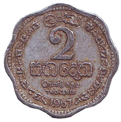 Монета 2 цента. 1967 год, Цейлон.