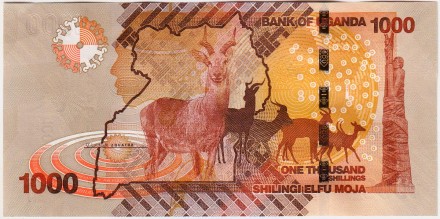 Банкнота 1000 шиллингов. 2021 год, Уганда. Банкнота 1000 шиллингов. 2021 год, Уганда.
