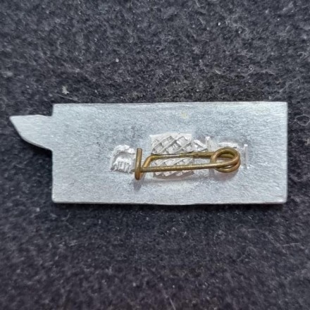 Самолет АН-22 "Антей". Значок. СССР. Самолет АН-22 "Антей". Значок. СССР.