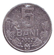 Монета 5 бани. 2002 год, Молдавия. Монета 5 бани. 2002 год, Молдавия.
