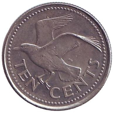 Монета 10 центов. 2000 год, Барбадос. Чайка.