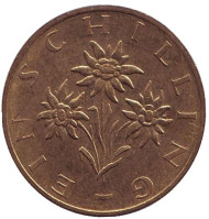Монета 1 шиллинг. 1998 год, Австрия. Эдельвейс. Монета 1 шиллинг. 1998 год, Австрия. Эдельвейс.
