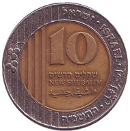 Монета 10 новых шекелей. 1995 год, Израиль. Монета 10 новых шекелей. 1995 год, Израиль.