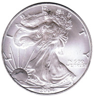 Монета 1 доллар, 2004 год, США. Шагающая свобода.
