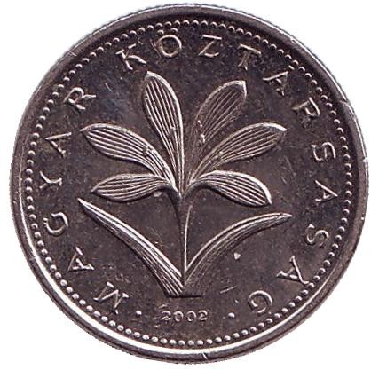 2002-1sl.jpg 2002-1sl.jpg