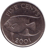 Монета 5 центов. 2001 год, Бермудские острова. Тропическая рыба (Ангел-королева). Монета 5 центов. 2001 год, Бермудские острова. Тропическая рыба (Ангел-королева).